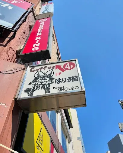 Harineko はり猫 공간 사진 1